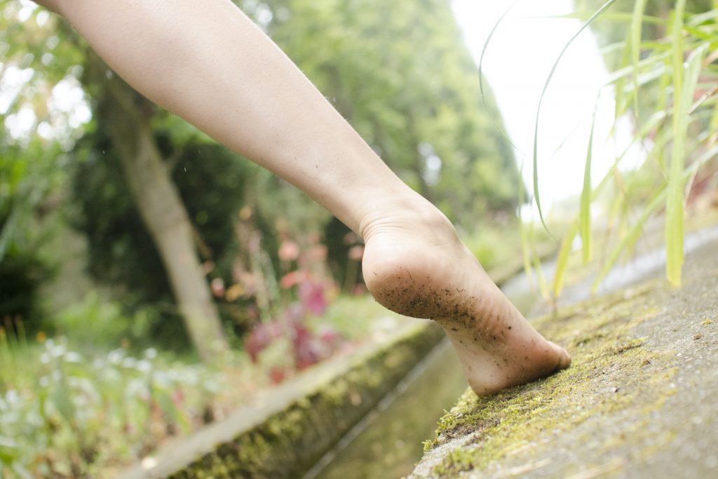 LaNe, Parc de Saint-Cloud, 2012